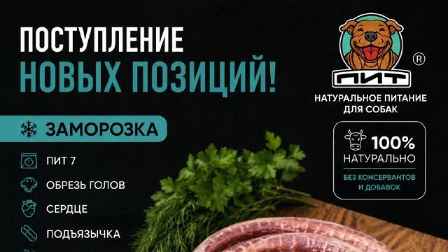 📦 Пополнение ассортимента ПИТ!