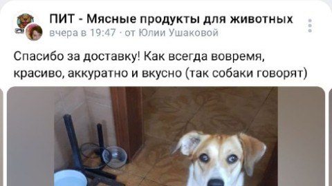 Так приятно получать отзывы от таких классных хвостиков! ❤️🐶😊