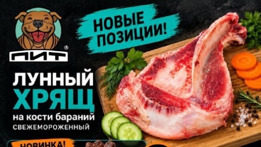 🔥 НОВИНКИ И БОЛЬШОЕ ПОПОЛНЕНИЕ ПИТ!