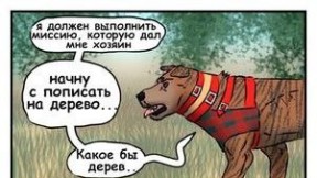 Типичная история из жизни собаковода 🐶💪🤣